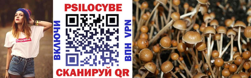 цена наркотик  Углегорск  Галлюциногенные грибы MAGIC MUSHROOMS 